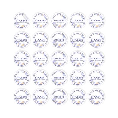 Stickers transparentes en plancha